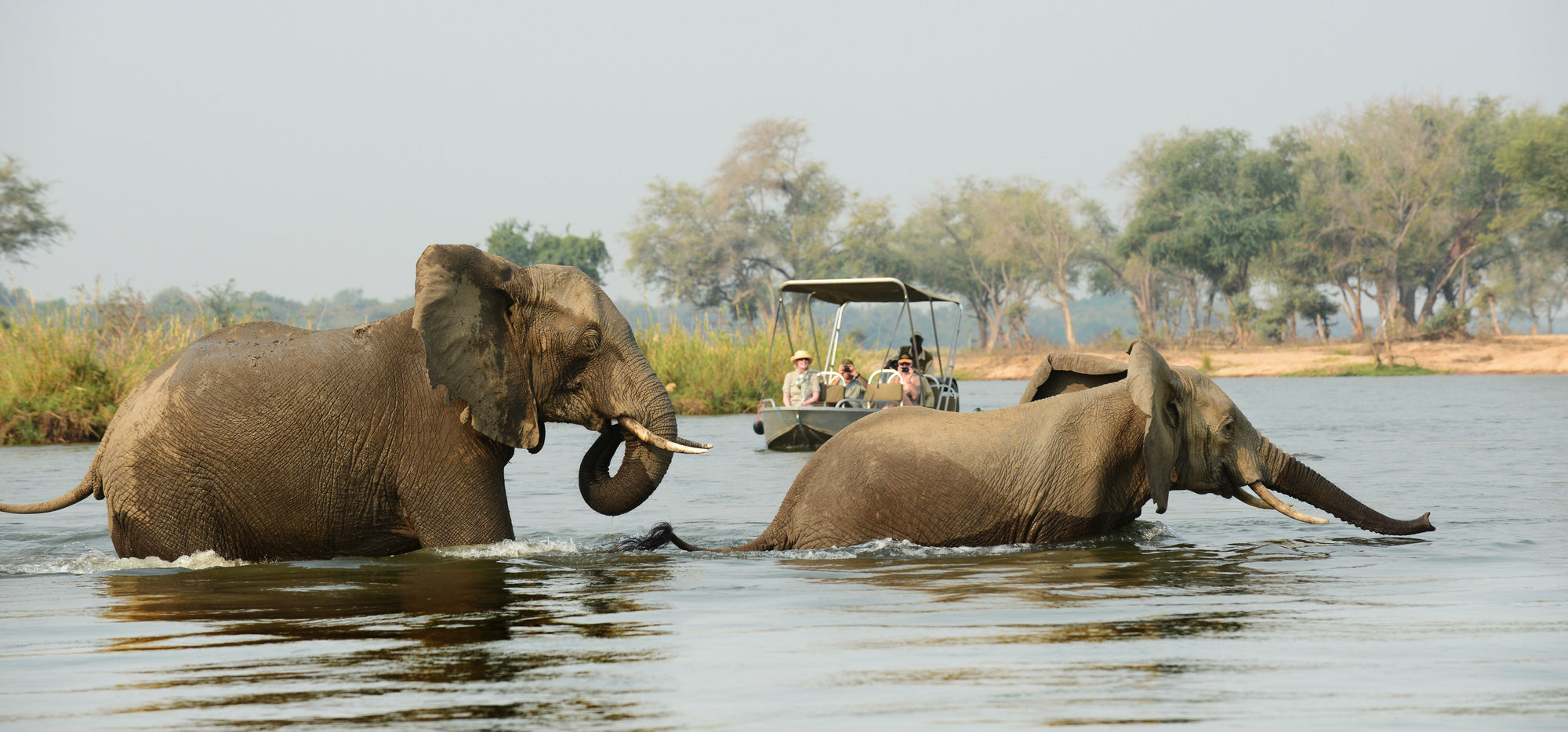 Boat Trips 