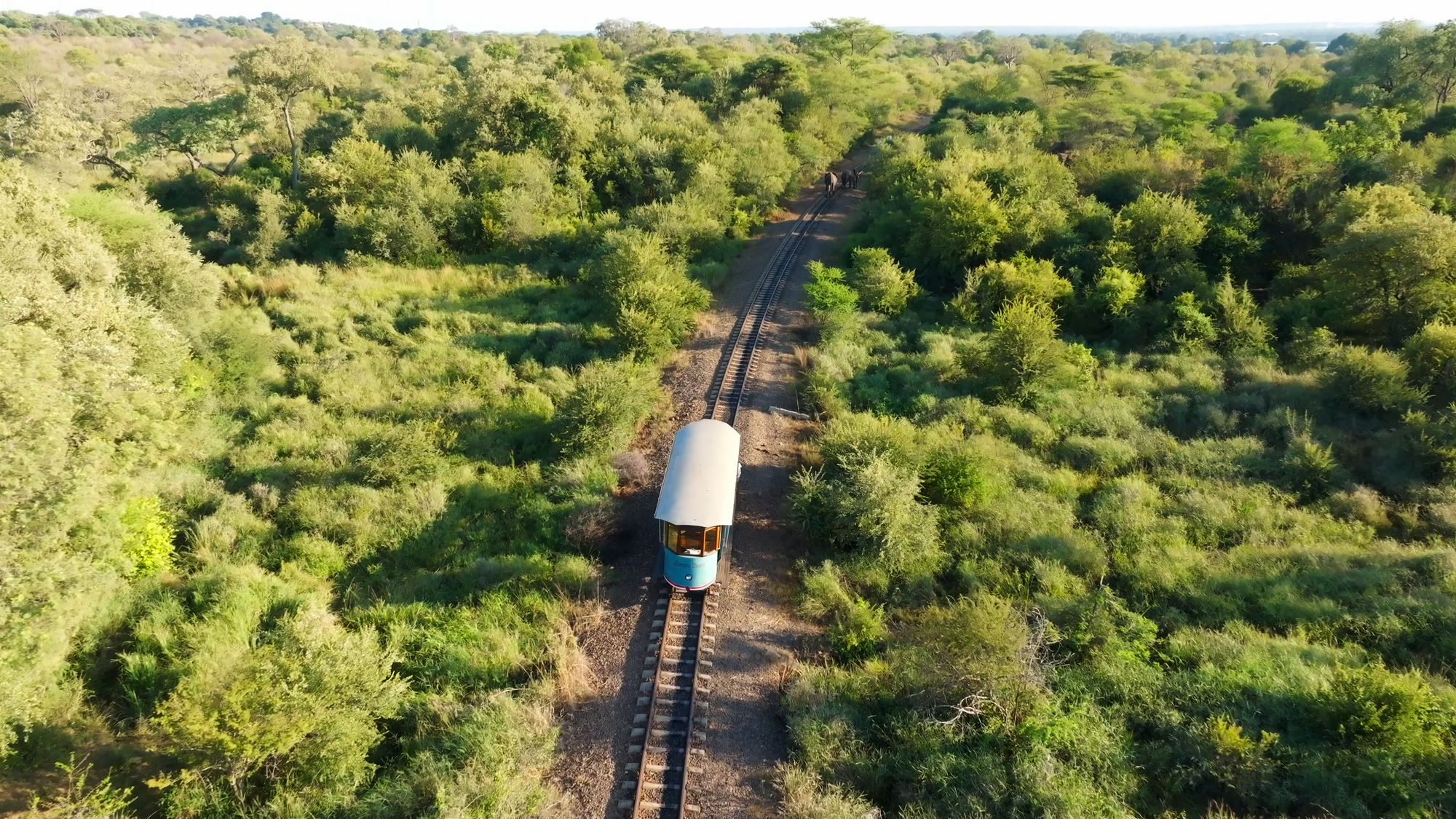 Bamba Tram