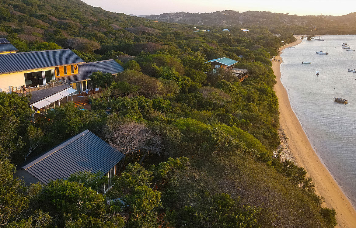 Balistidae Lodge