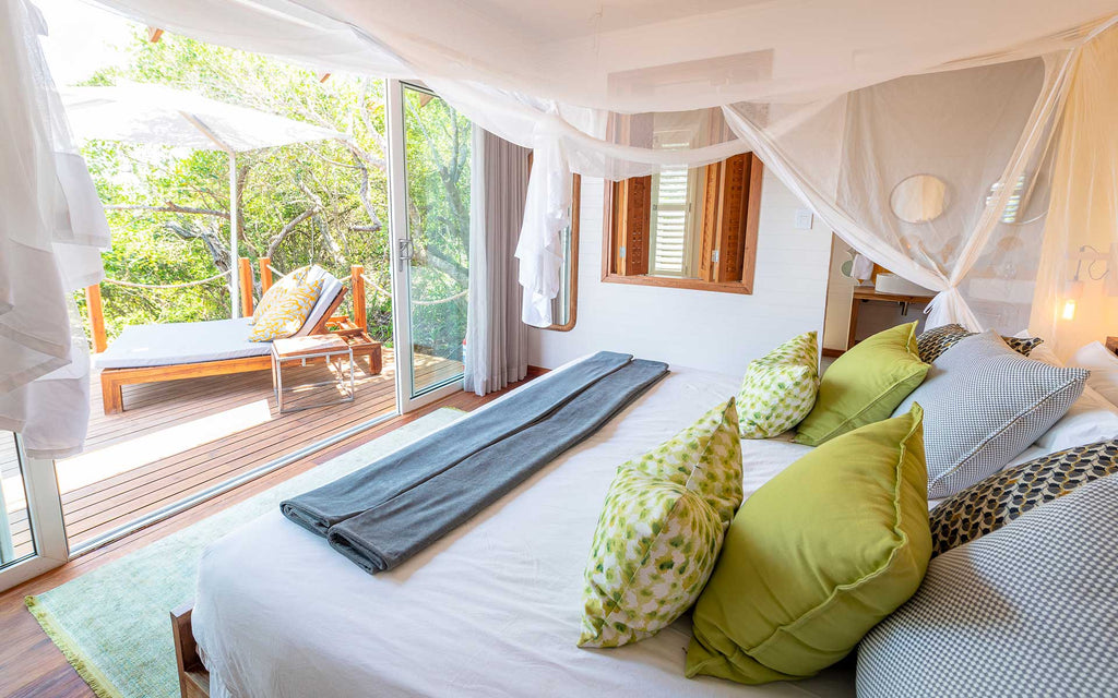 Balistidae Lodge