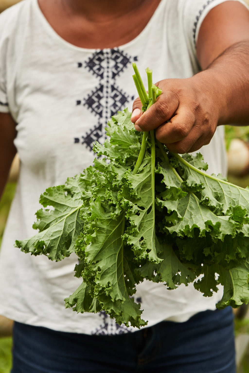 Farm-to-Table Lunch