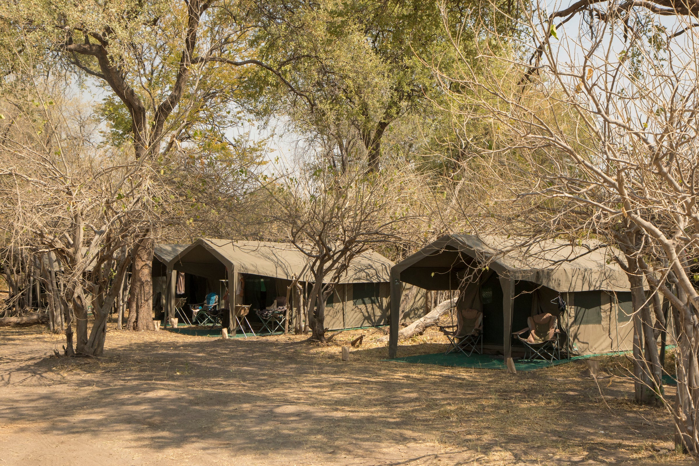 Mopane Luxury Mobile Camp - Moremi