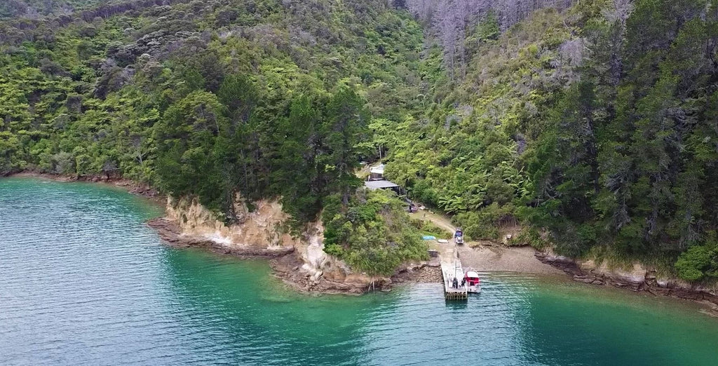 Tawa Cove Cabins