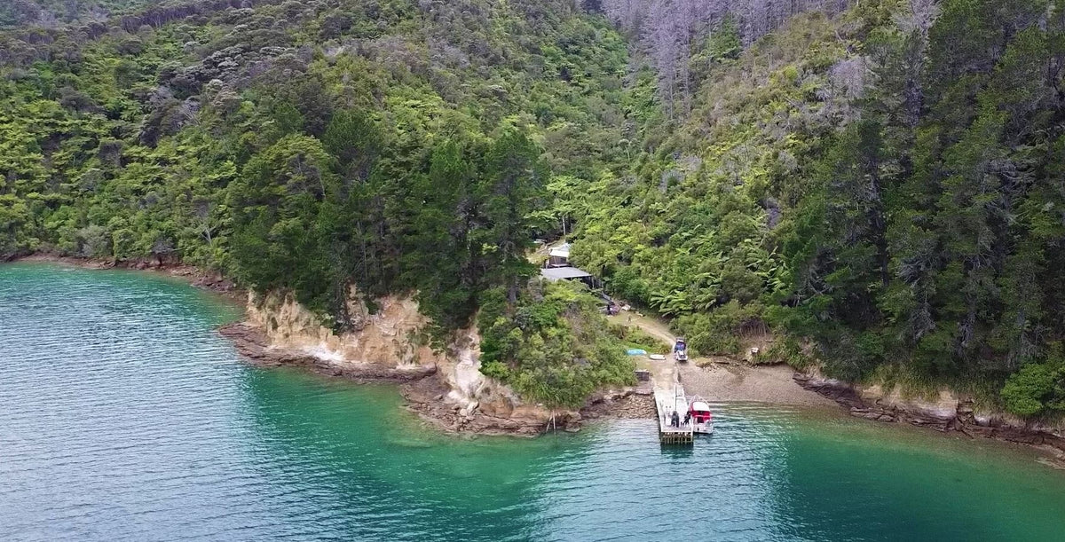 Tawa Cove Cabins