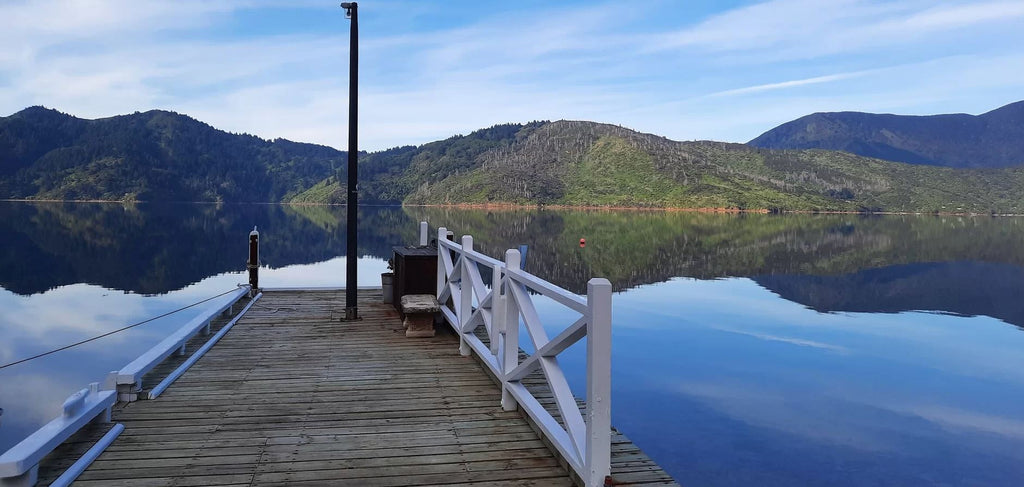 Tawa Cove Cabins
