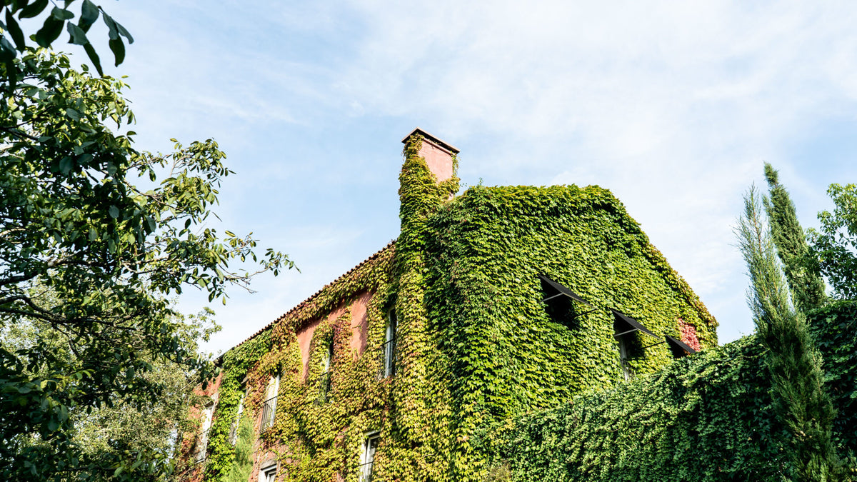 Quinta do Ameal
