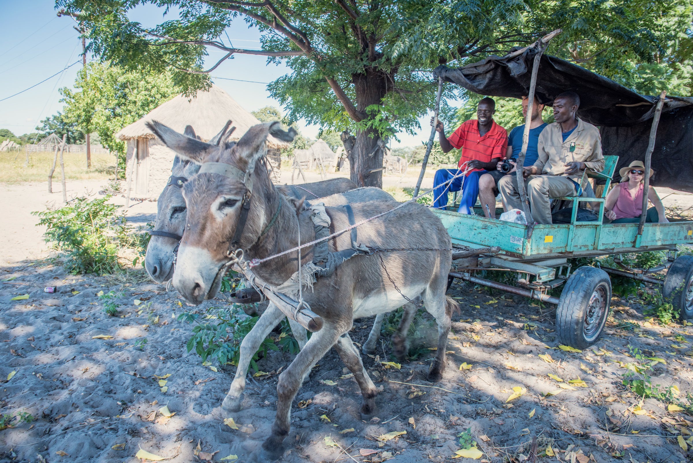 EcoExist Life With Elephants Tour & Eretsha Village Tour