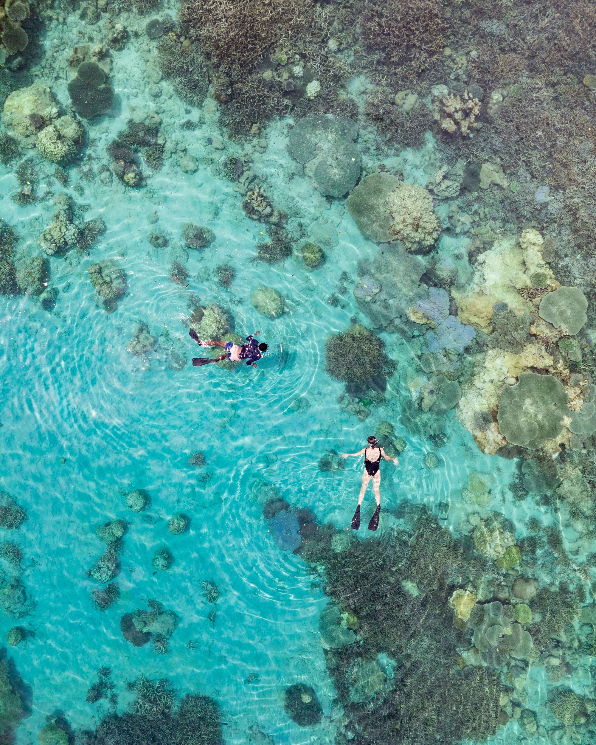 Time + Tide Tsara Komba : Snorkelling at Nosy Tanikely
