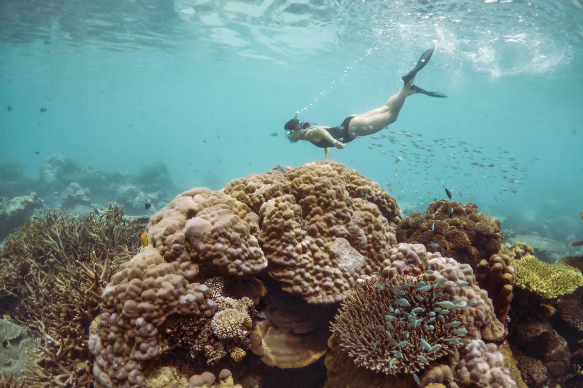 Snorkelling with Tsara Komba at Nosy Tanikely at Time + Tide Tsara Komba, Nosy Komba, Madagascar.