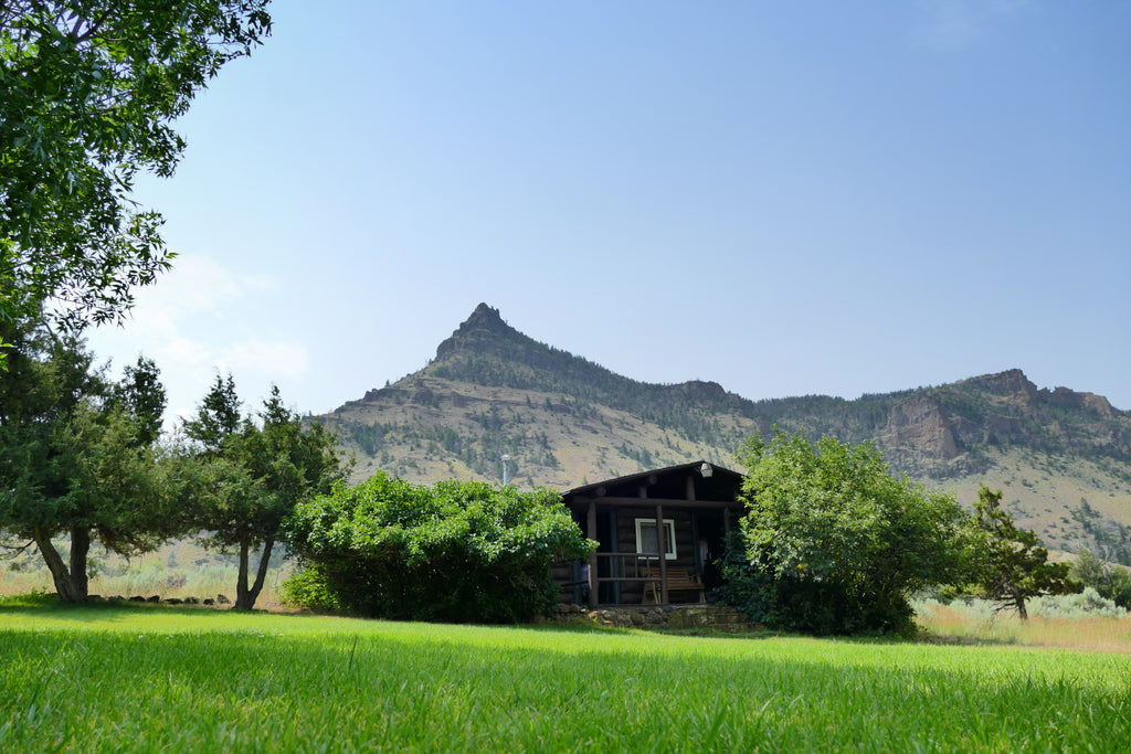 Trail Shop Inn