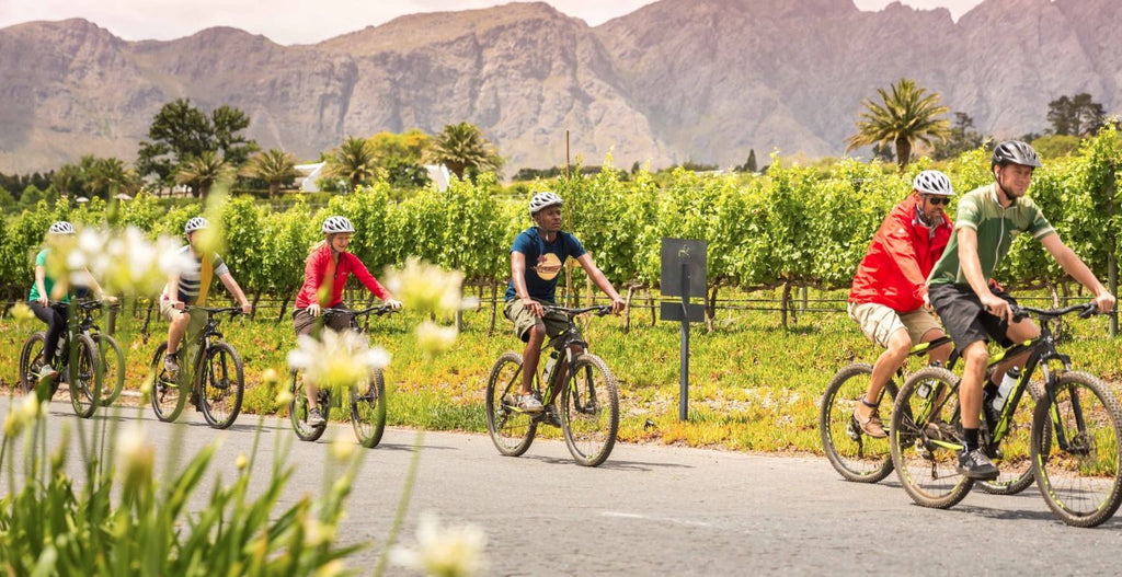 AWOL Tours Winelands cycling tour in Stellenbosch and Franschhoek