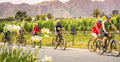 AWOL Tours Winelands cycling tour in Stellenbosch and Franschhoek