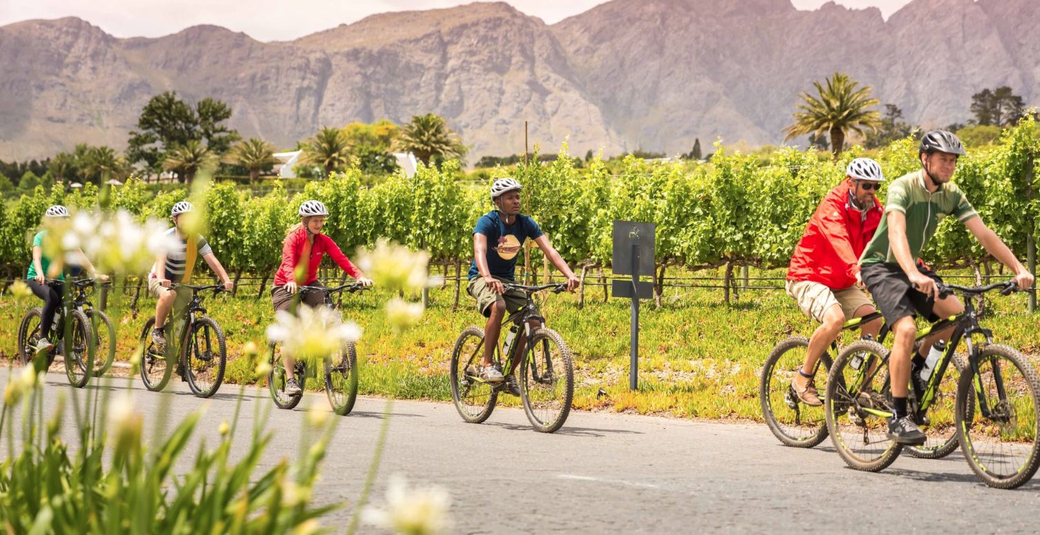 AWOL Tours Winelands cycling tour in Stellenbosch and Franschhoek