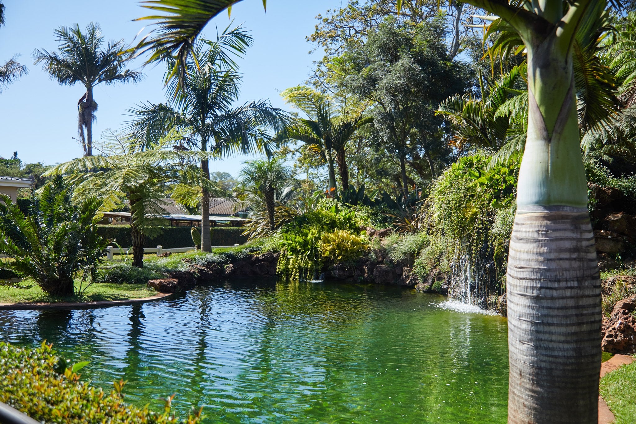 Koi Ponds with waterfall at Birds At Thirty