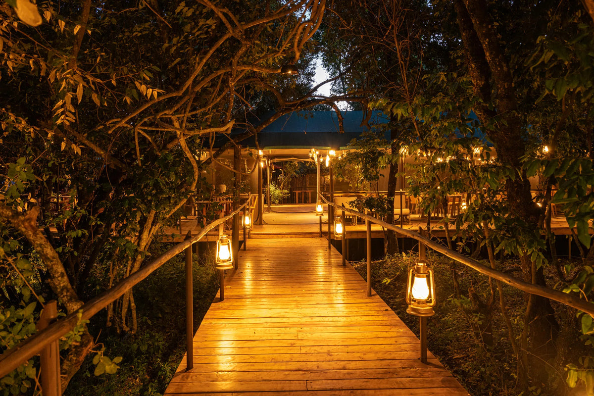 lounge Walkway at Soroi Luxury Migration Camp, Masai Mara, Kenya.