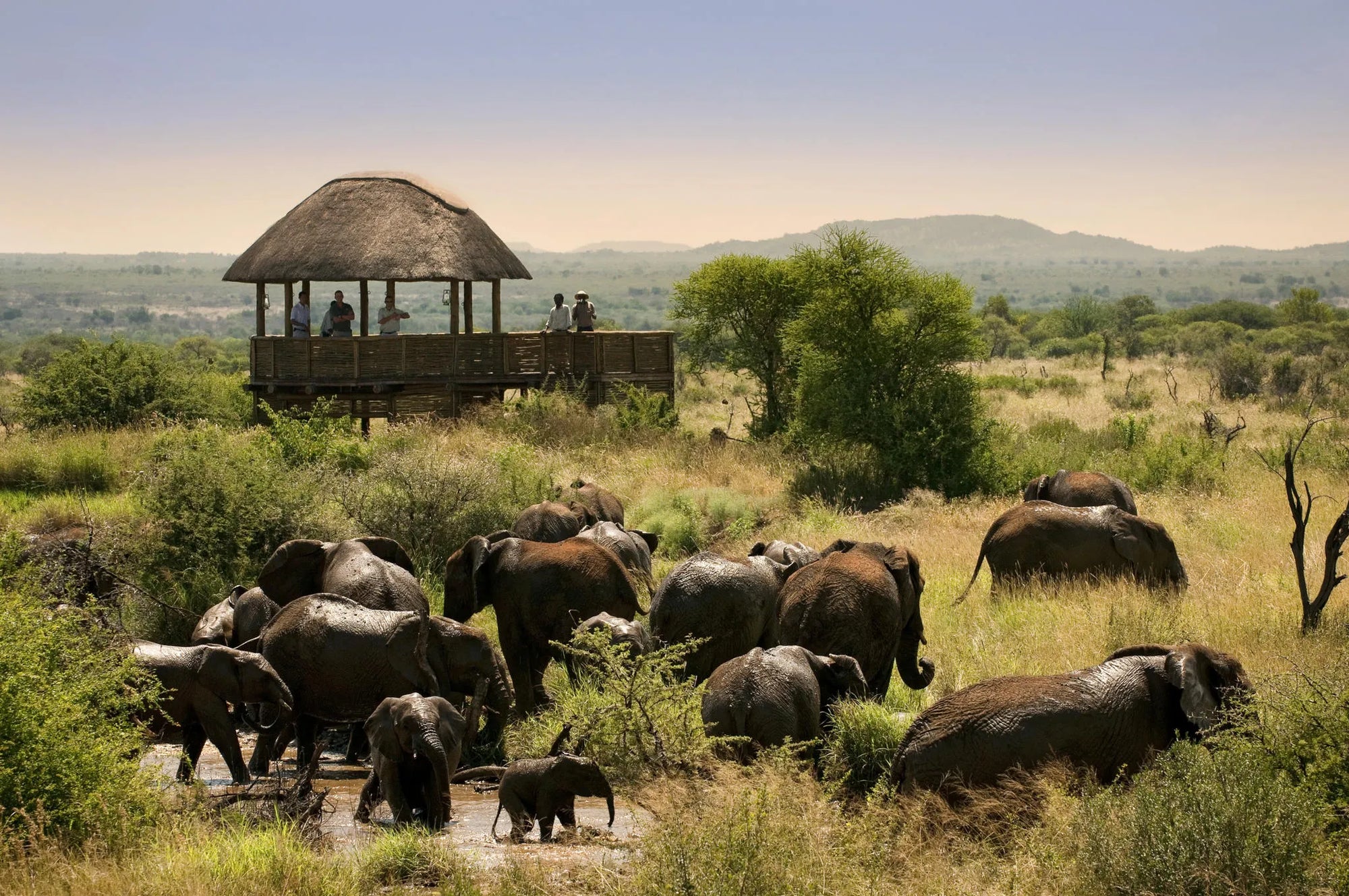 Morukuru Family Madikwe - Hide at Morukuru Farm House, Madikwe Game Reserve, South Africa.