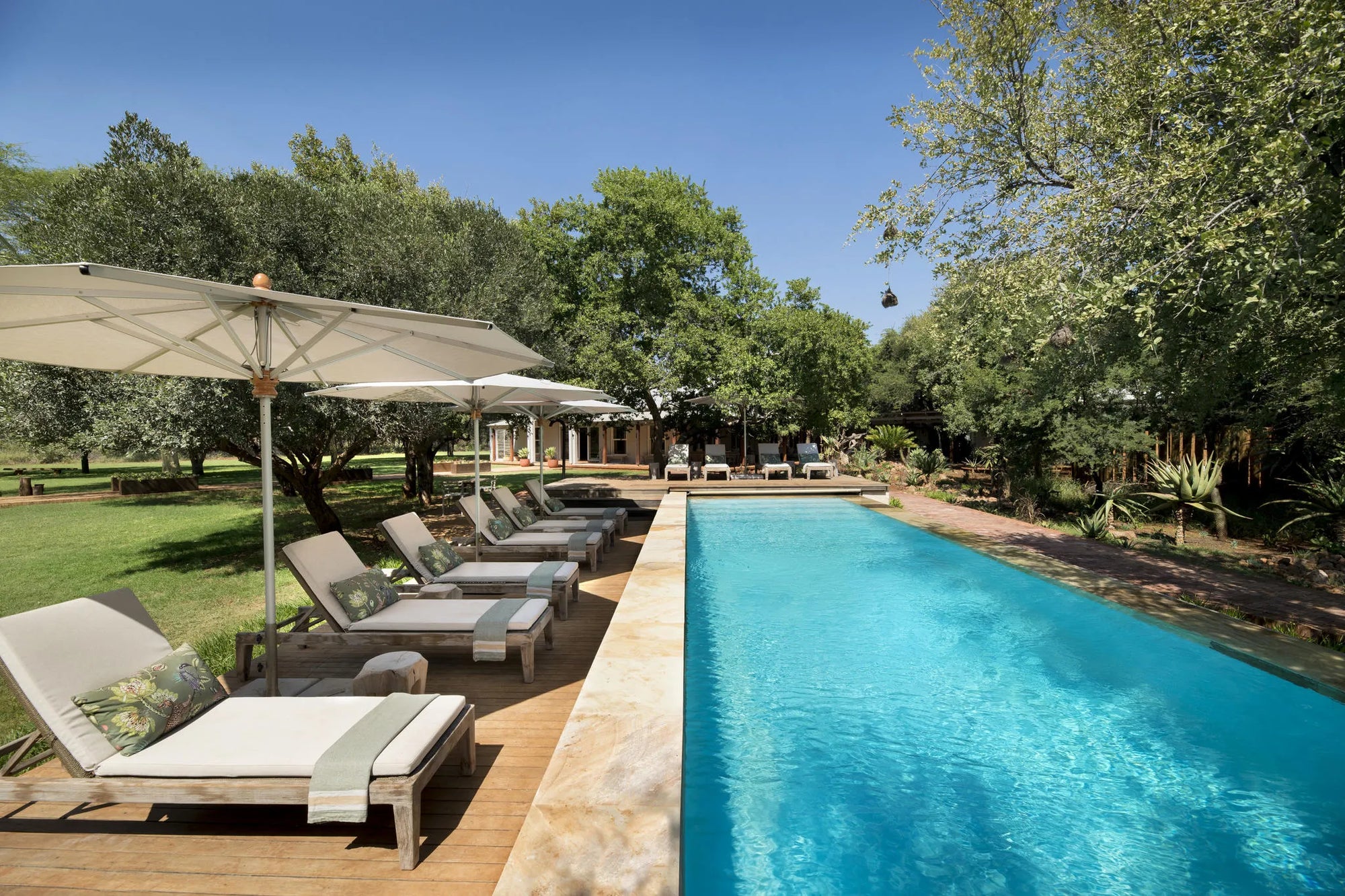 Morukuru Farm House - private pool at Morukuru Farm House, Madikwe Game Reserve, South Africa.