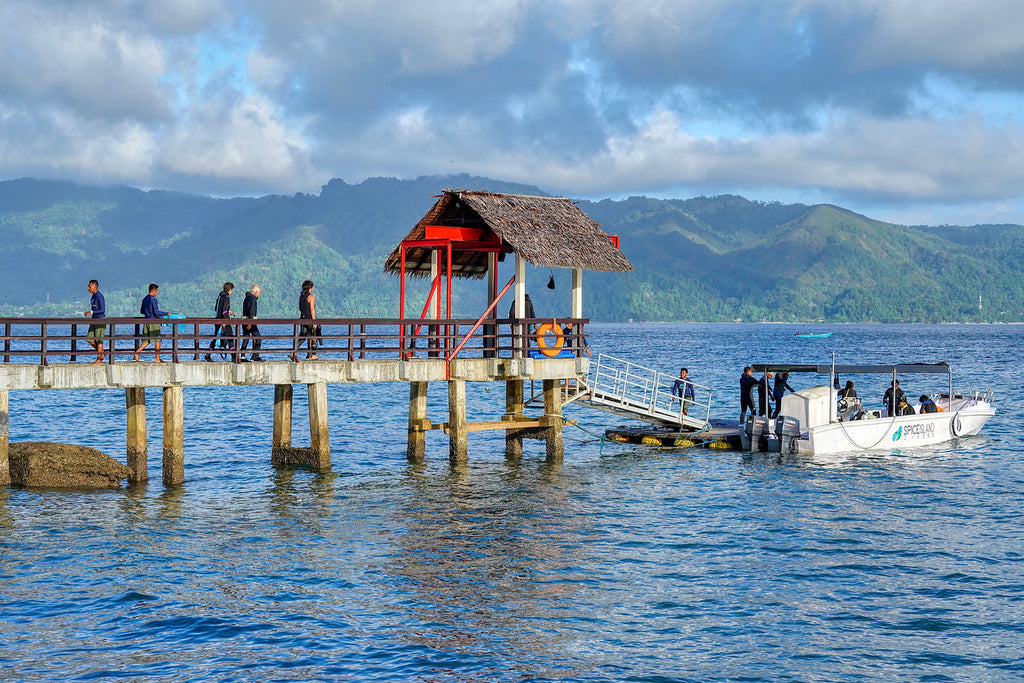 Spice Island Divers