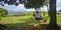 Our gardens and views