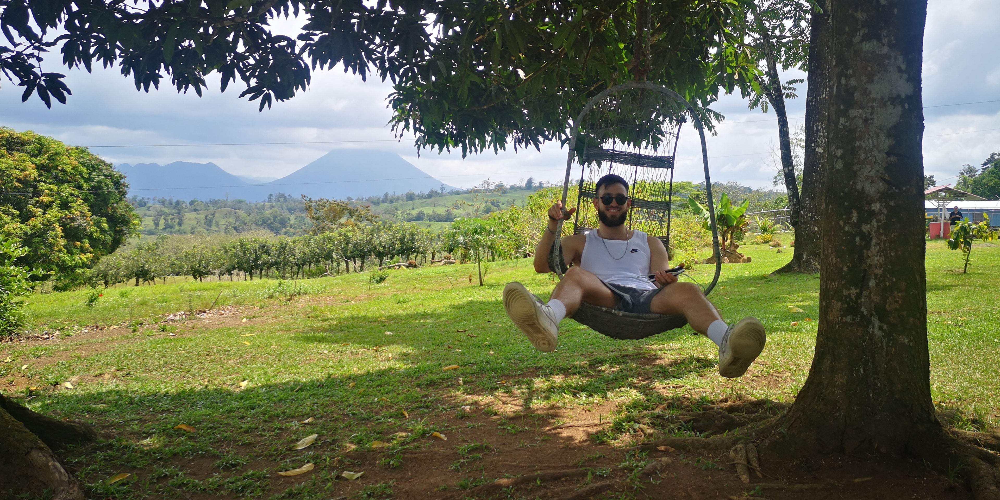 Our gardens and views