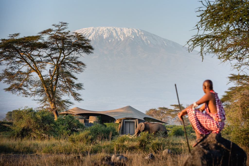 Guest Suite, Elephant, Mount Kilimanjaro and Maasai Warrior
