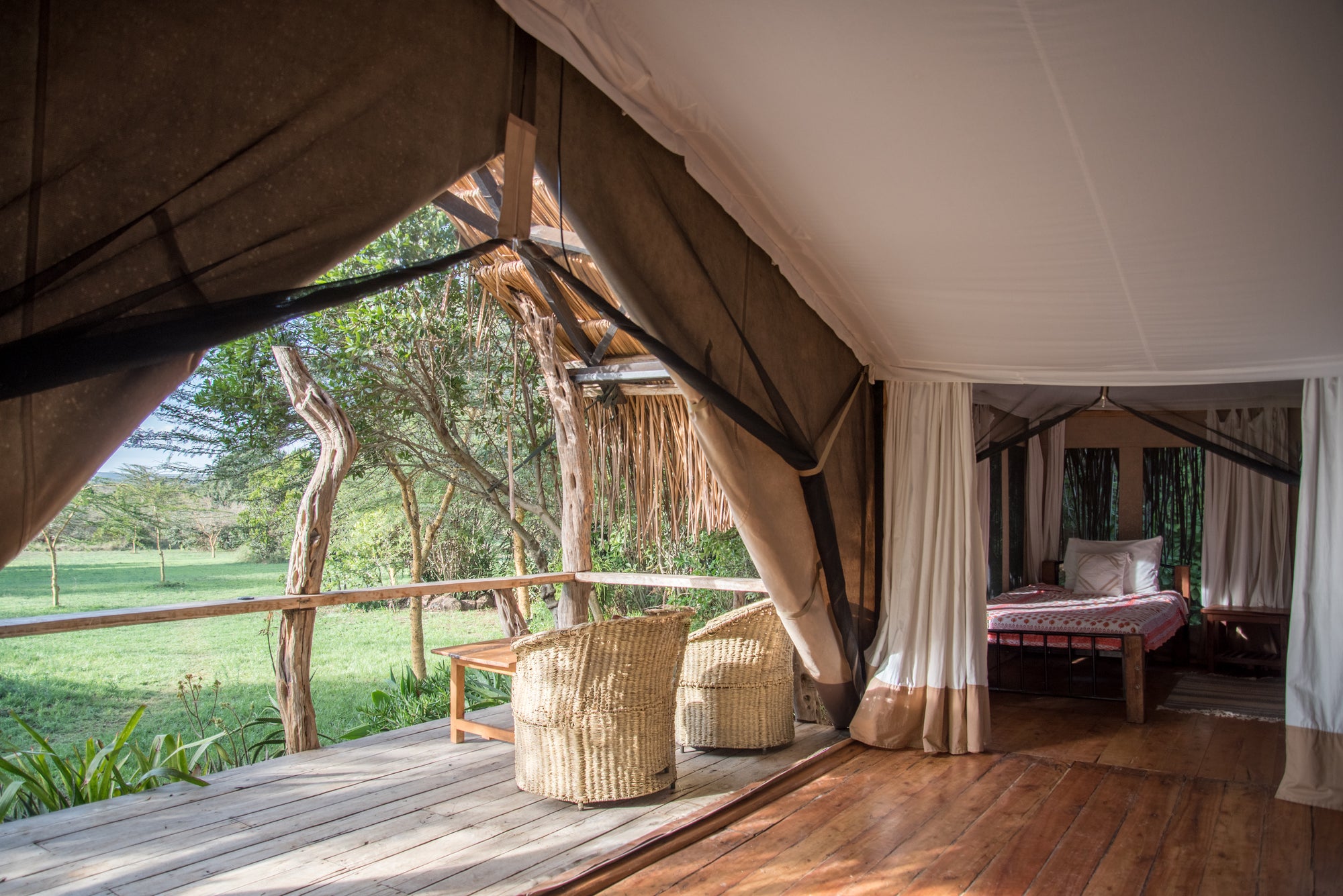Tent no 6