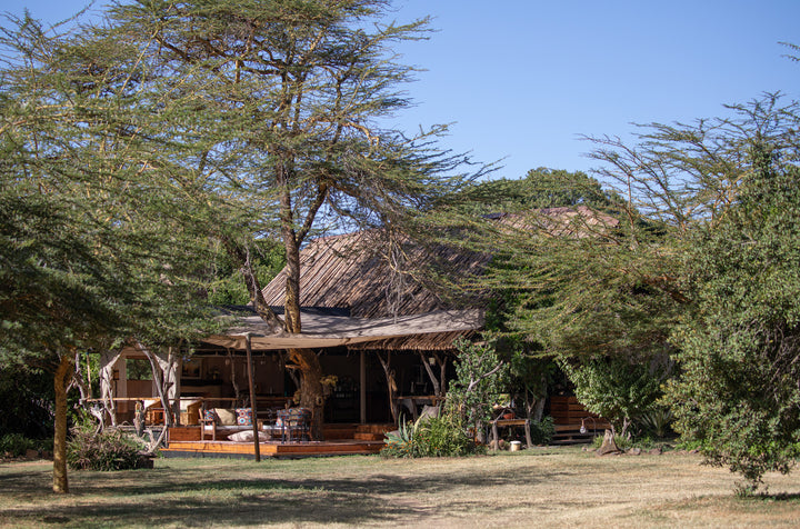 Ekorian’s Mugie Camp