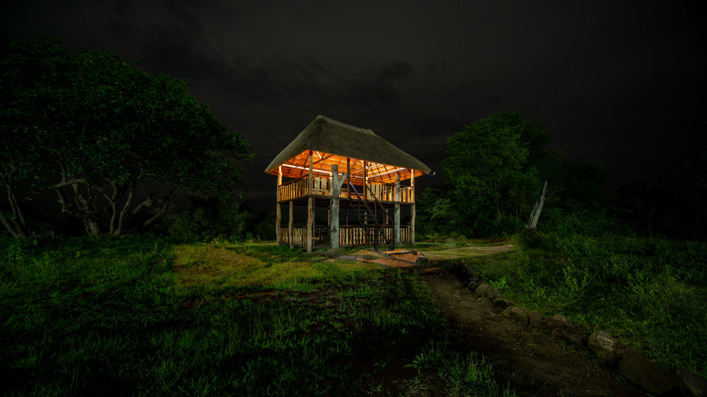 Bird-Hide