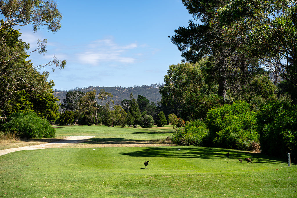 Royal Hobart Golf Club