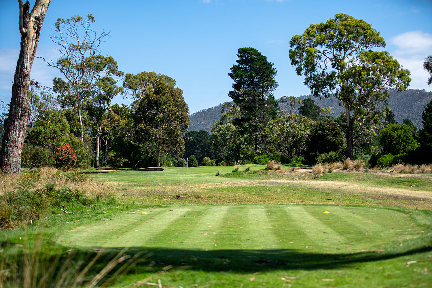Royal Hobart Golf Club