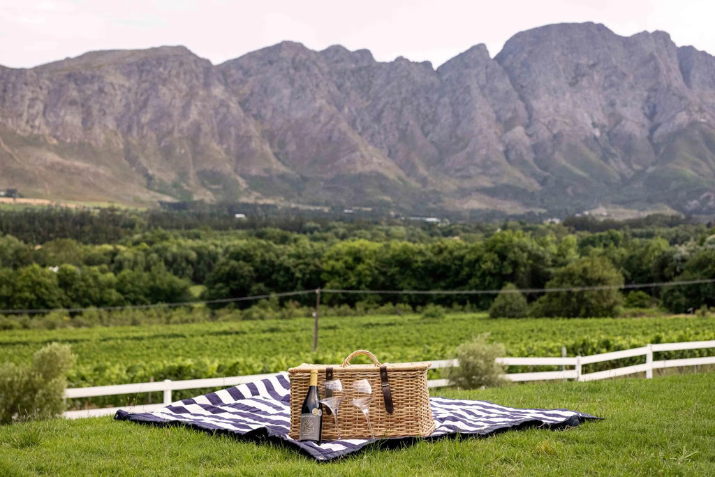 Picnic