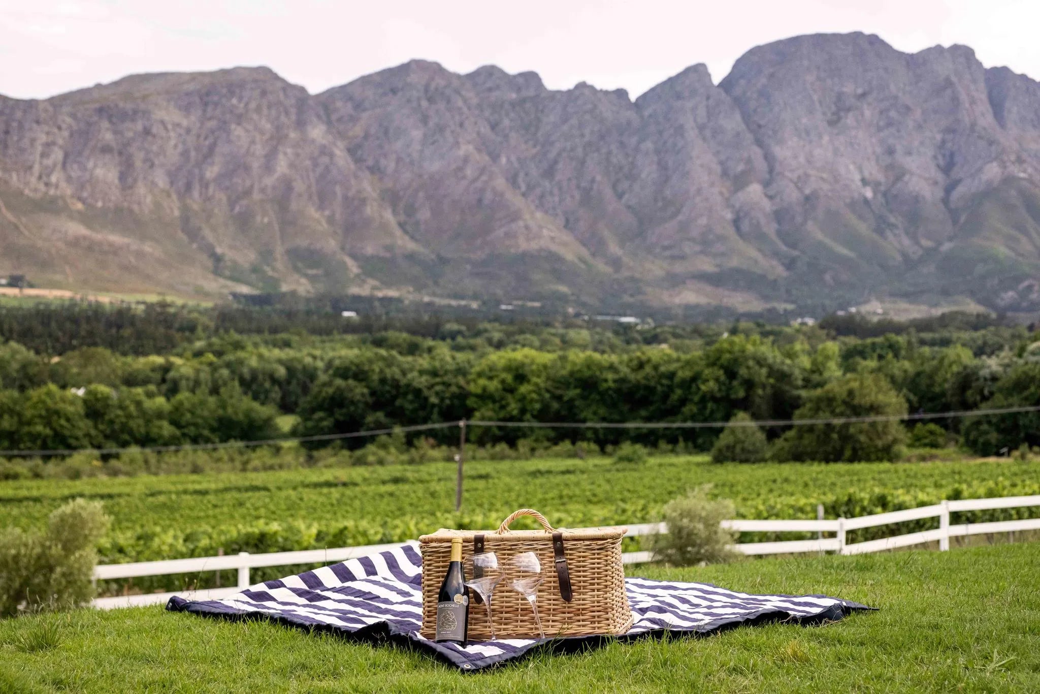 Picnic