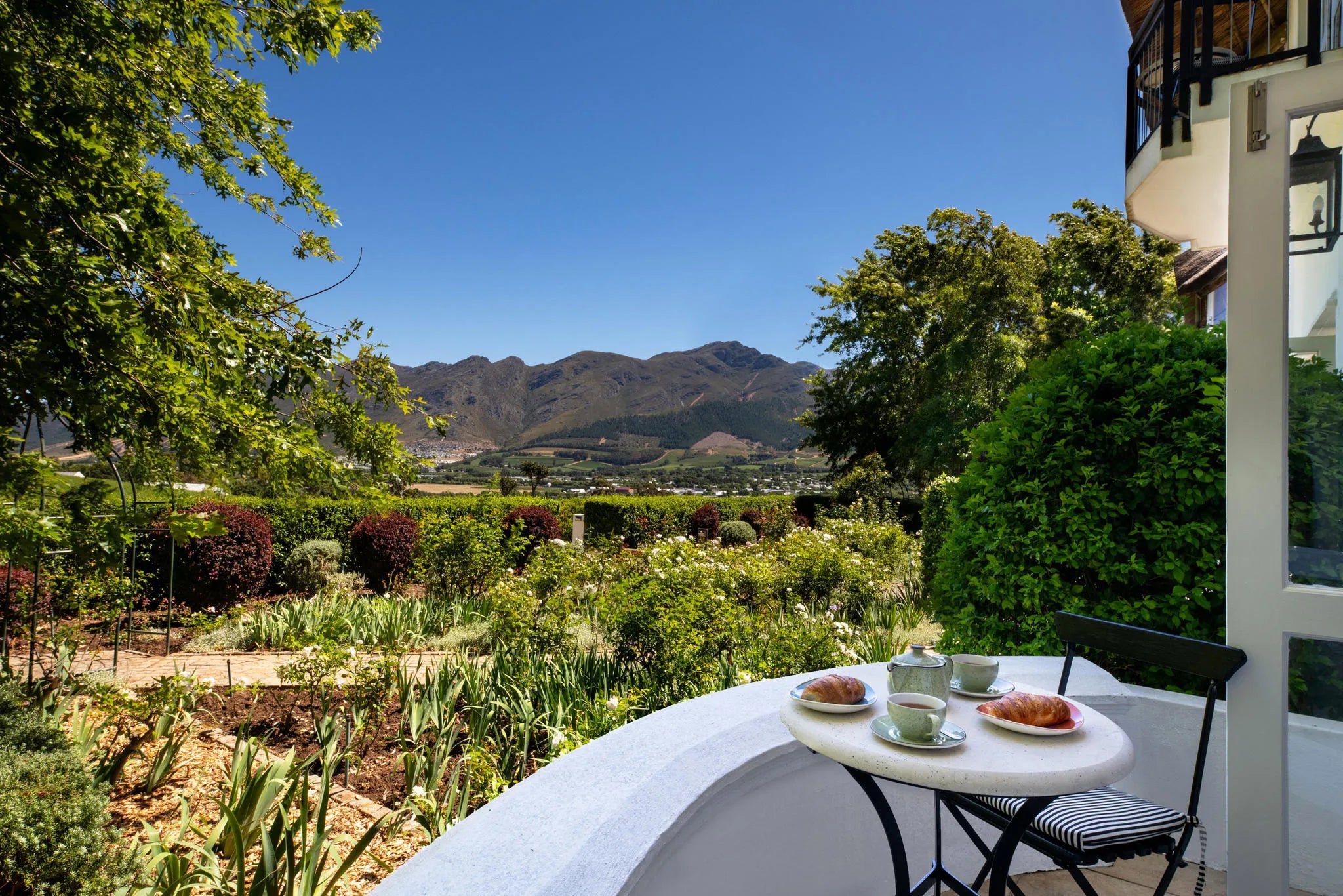 Pinotage Suite
