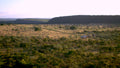 Nsele Private Game Reserve