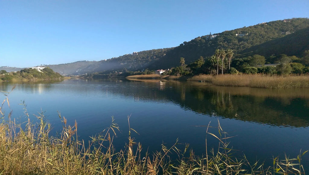 the view of River Touw at The Anchorage Wilderness, Wilderness, South Africa.
