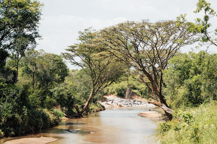 Olimba Mara Camp