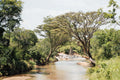 View on Talek River