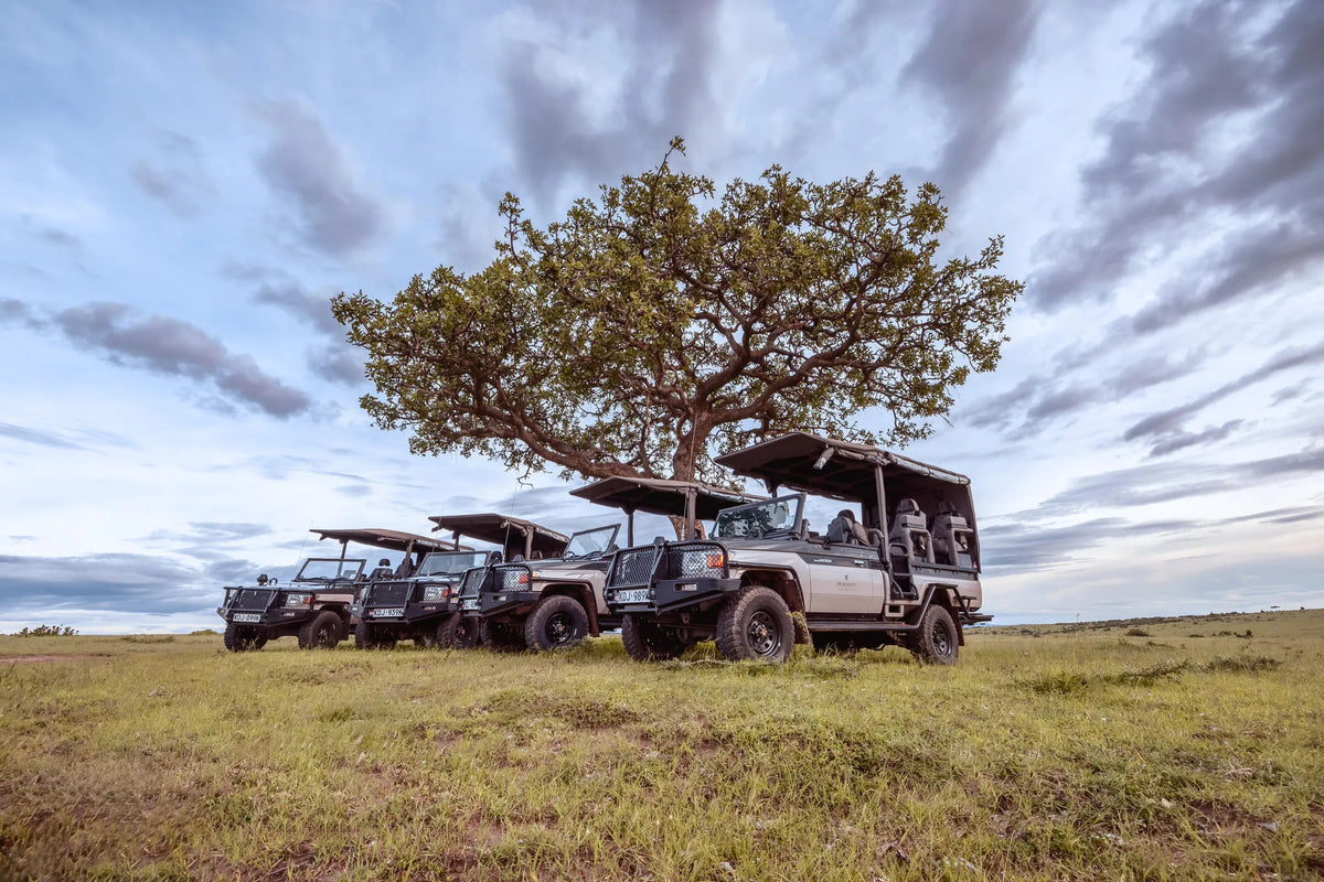 Transformative Safari at JW Marriott Masai Mara Lodge, Masai Mara, Kenya.