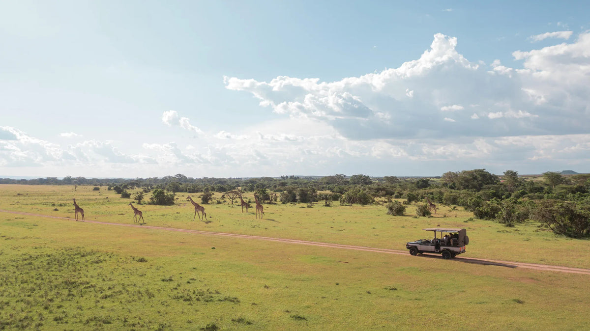 Game drive experience at JW Marriott Masai Mara Lodge, Masai Mara, Kenya.