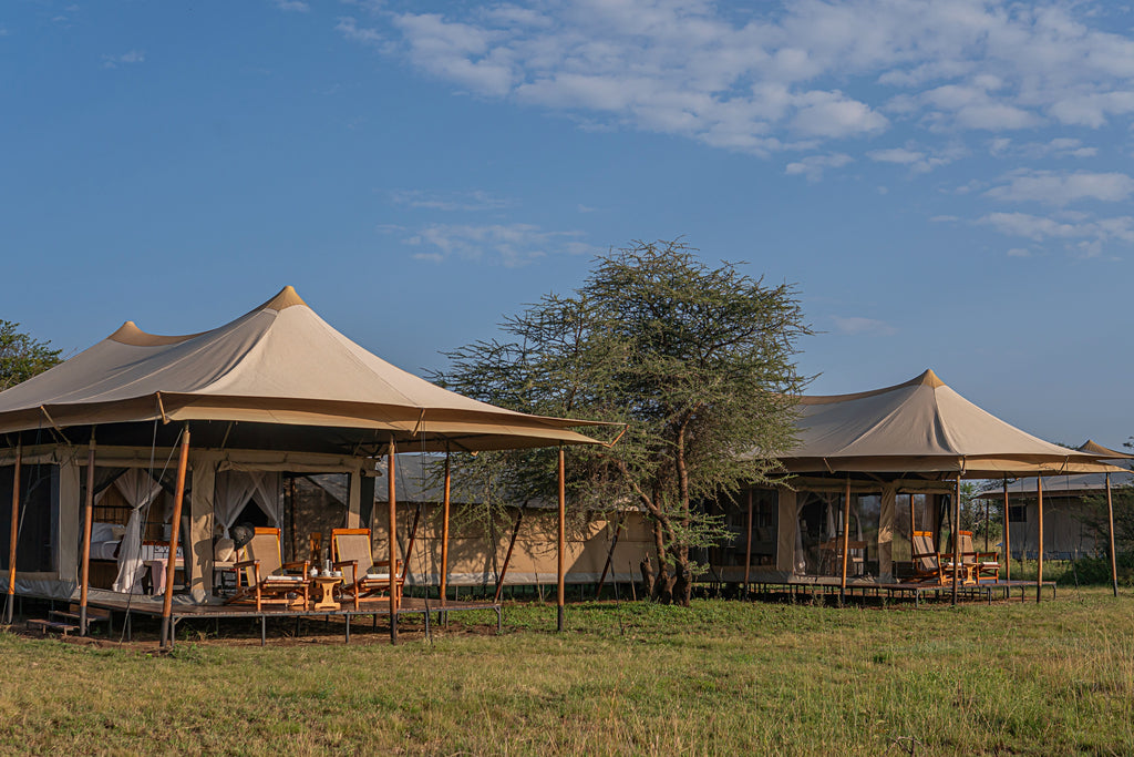 ICS Family Tent
