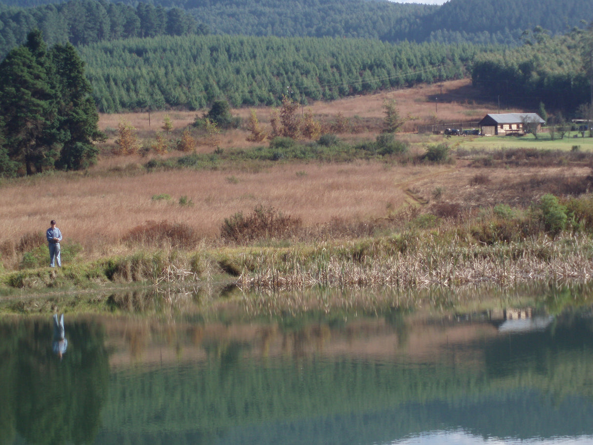 Gunyatoo Trout Farm & Guest Lodge