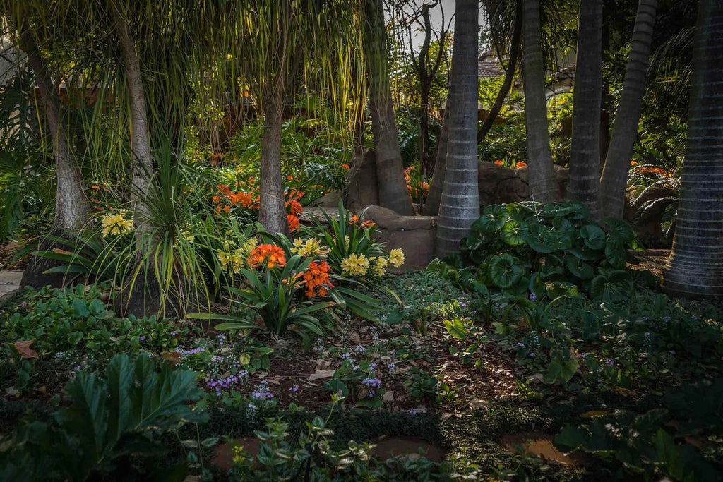 Beautiful garden at Hudson House, Pretoria, South Africa.