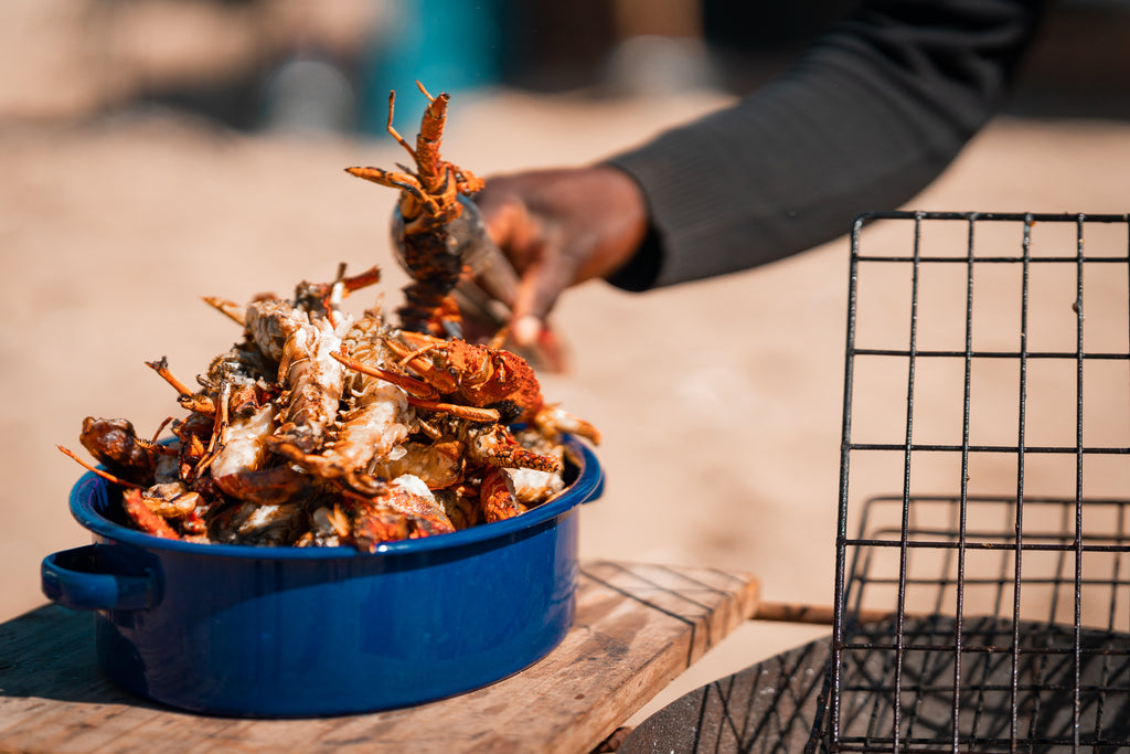 Mola Mola Pelican Point Beach Braai