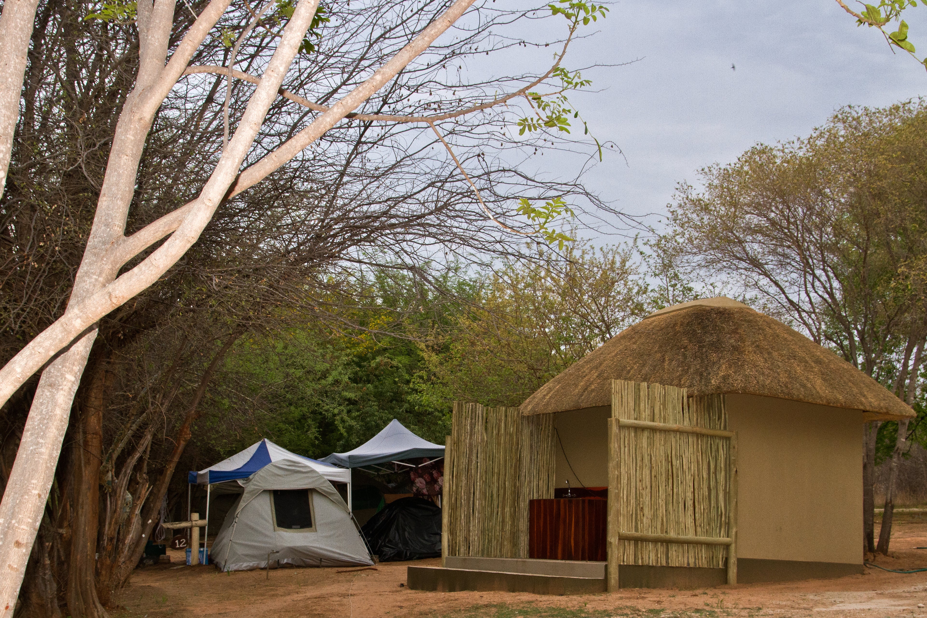 Namushasha Camp Sites