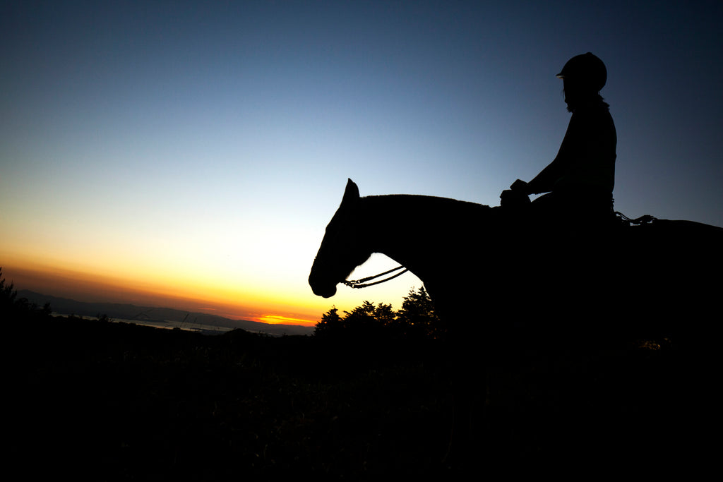 Horseback Riding