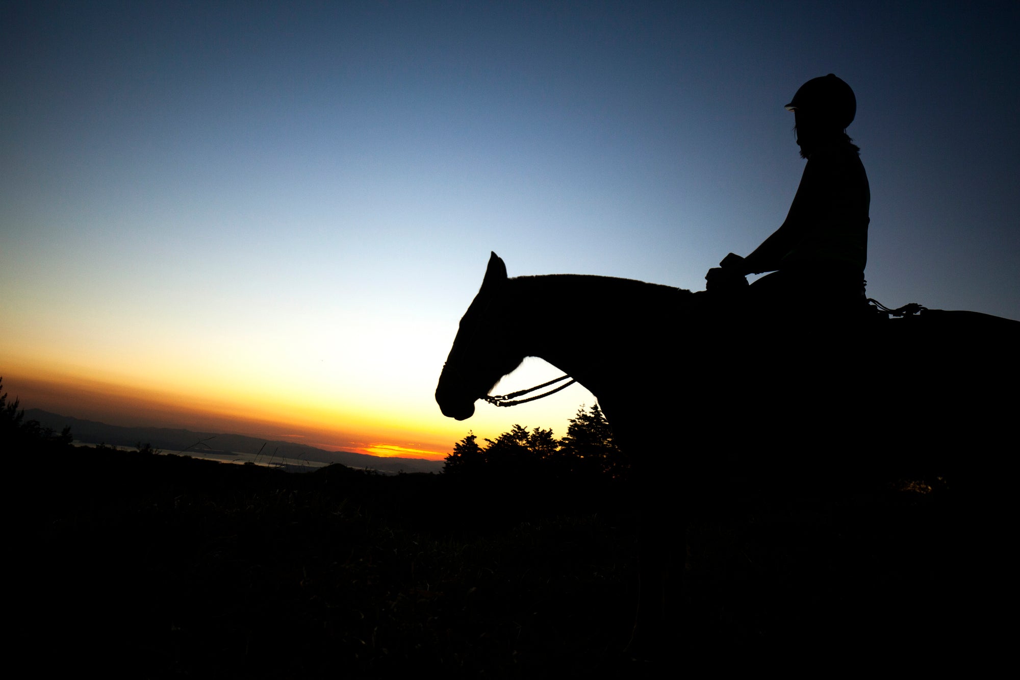 Horseback Riding