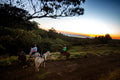 Horseback Riding