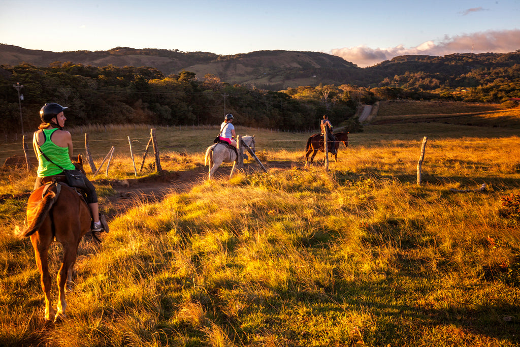 Horseback Riding