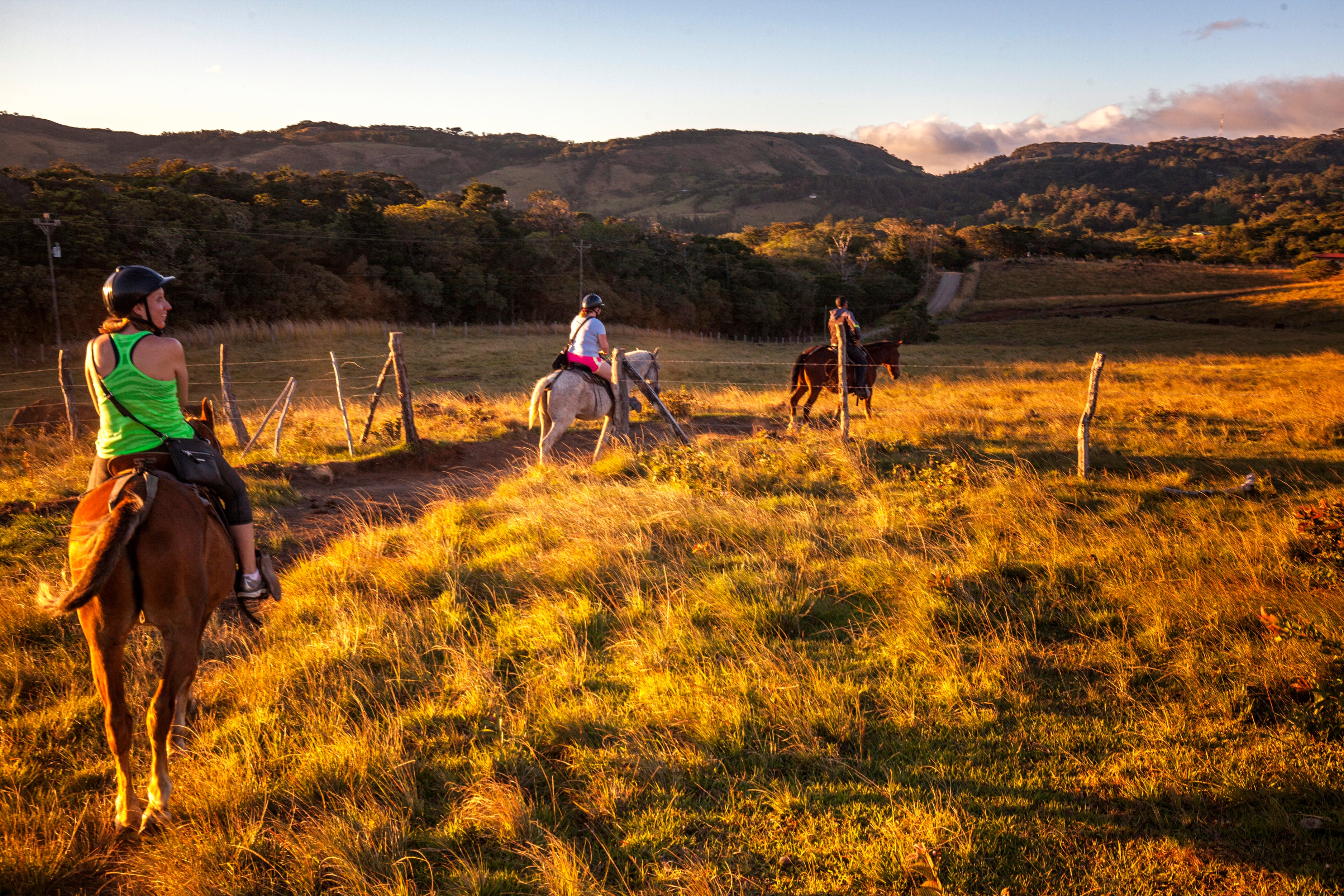 Horseback Riding