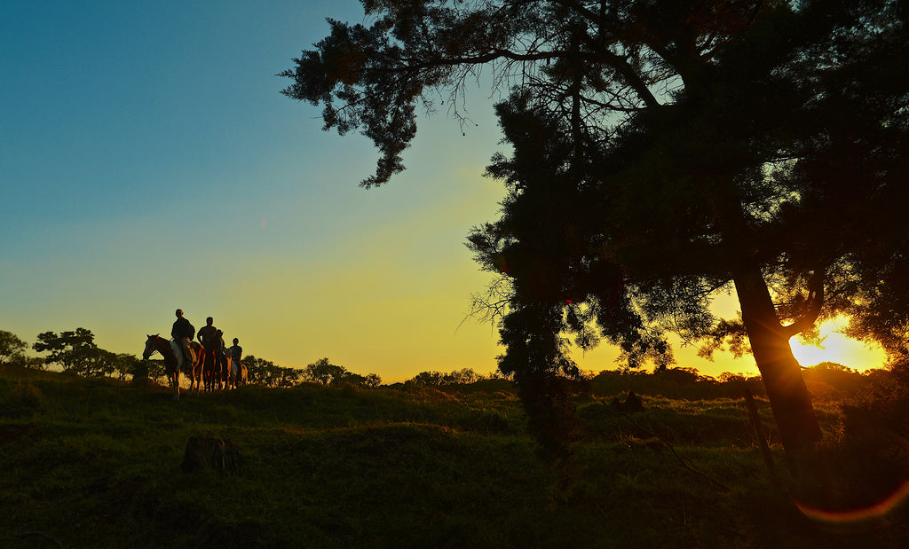Horseback Riding